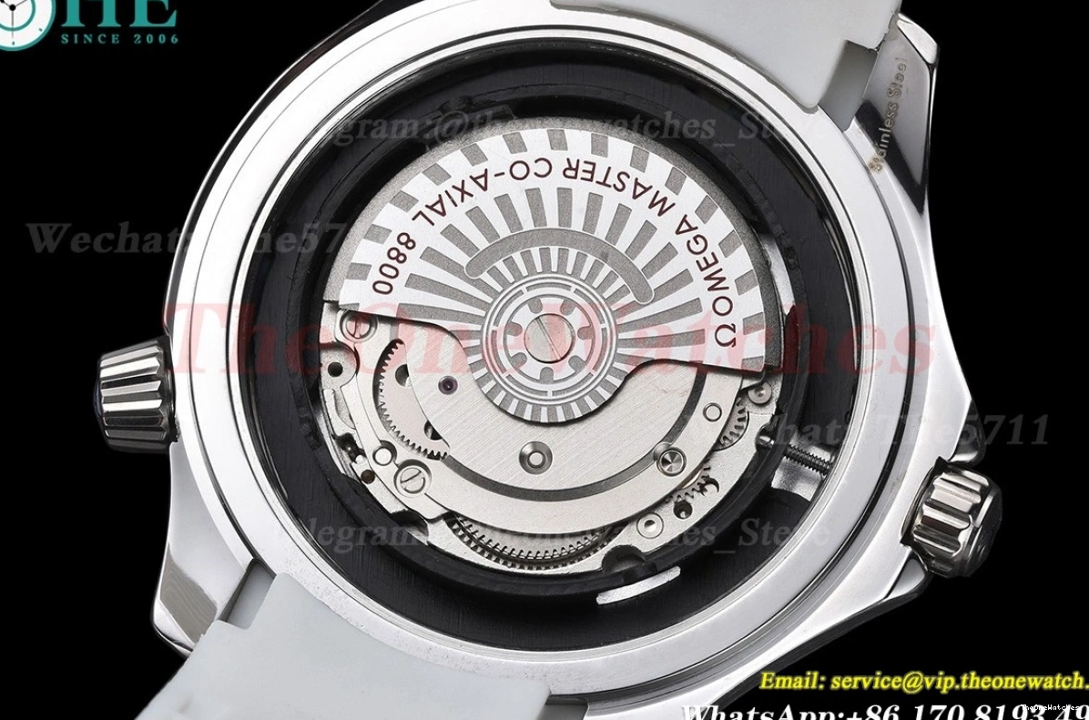 GDF SS 300m Dial White MY8215 Seamaster 42mm RU 0517